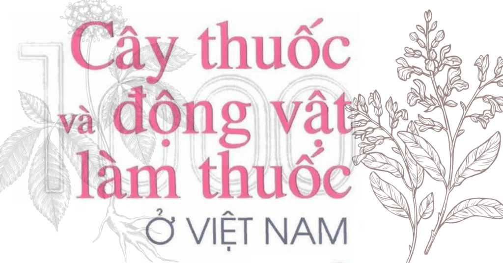 Cây Thuốc Và Động Vật Làm Thuốc Ở Việt Nam