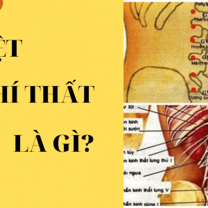 huyệt chí thất là gì?